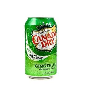 CANADA DRY GINGER ALE 33CL