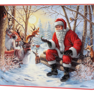 Bramble "Babbo Natale nel Bosco" Scatola in Latta in rilievo con Biscotti Assortiti 300g