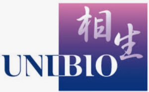 AIOI